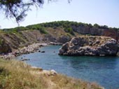 Coast Nearby